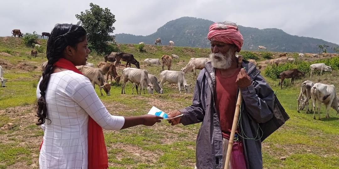 In the Indian countryside: Woman hands flyers to cattle herder